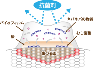バイオフィルムとは